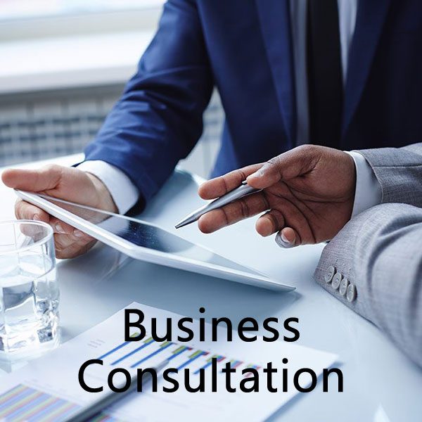 Business Consultation